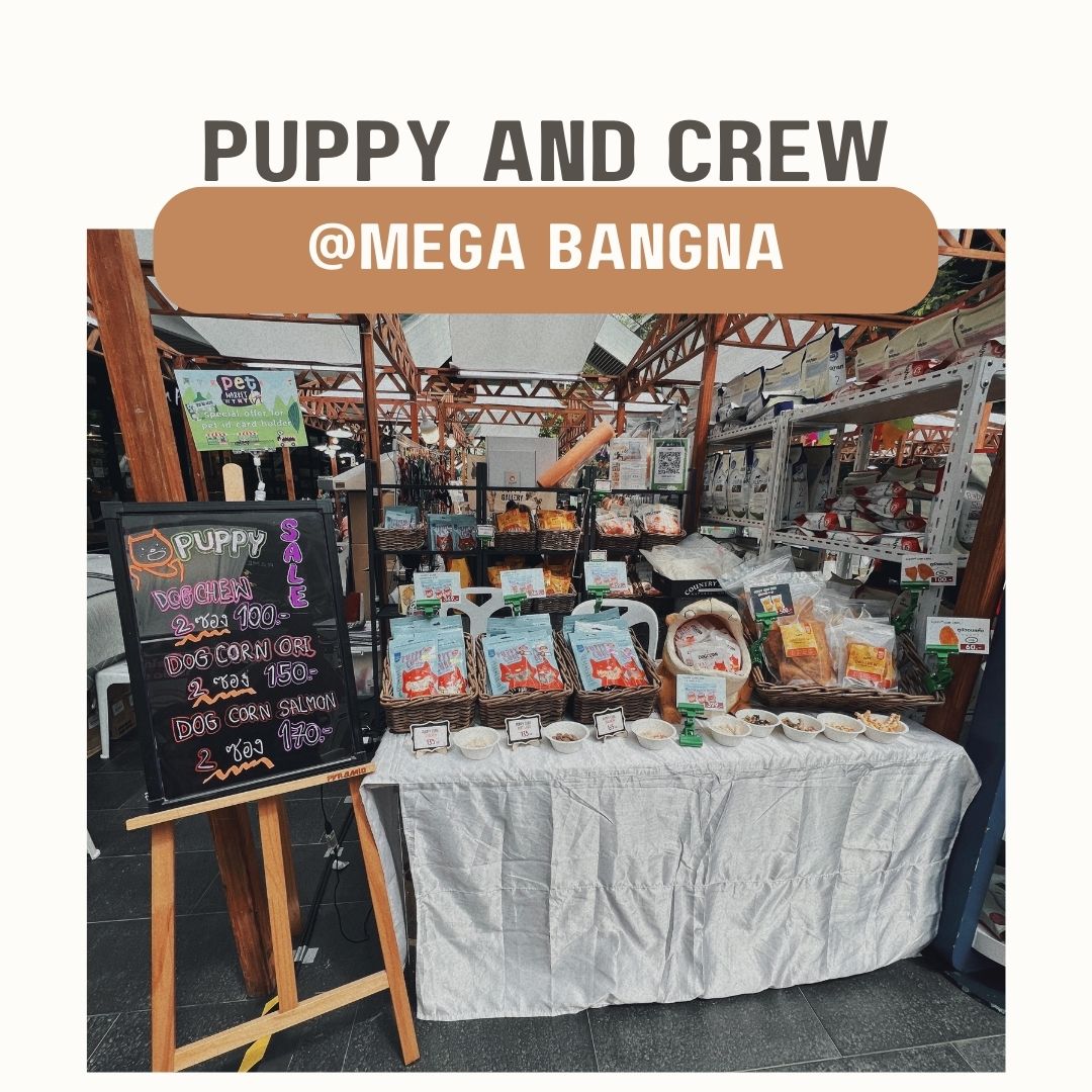 Puppy Event Mega Bangna